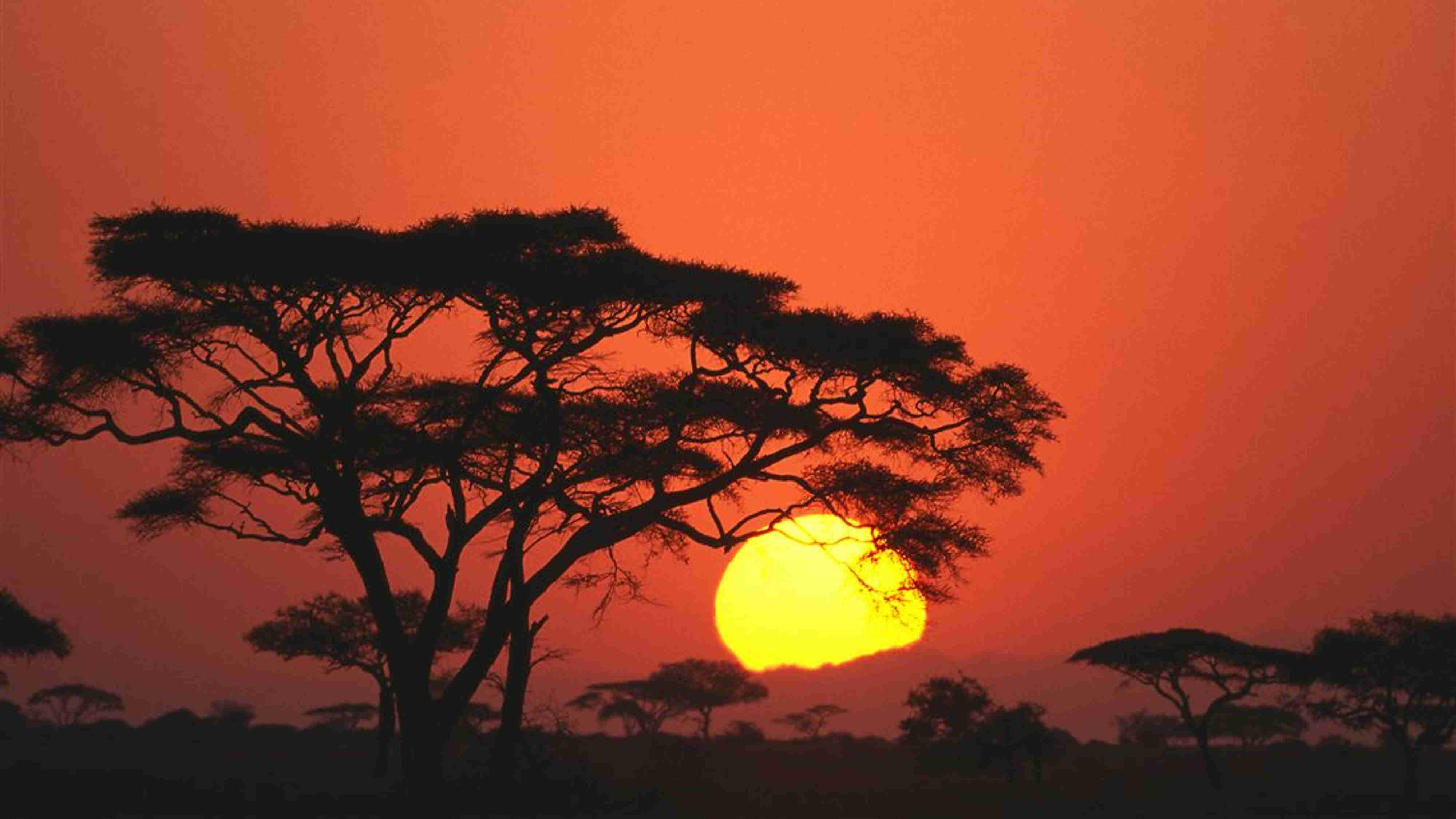 Oasis Travel Agency | Zimbabwe