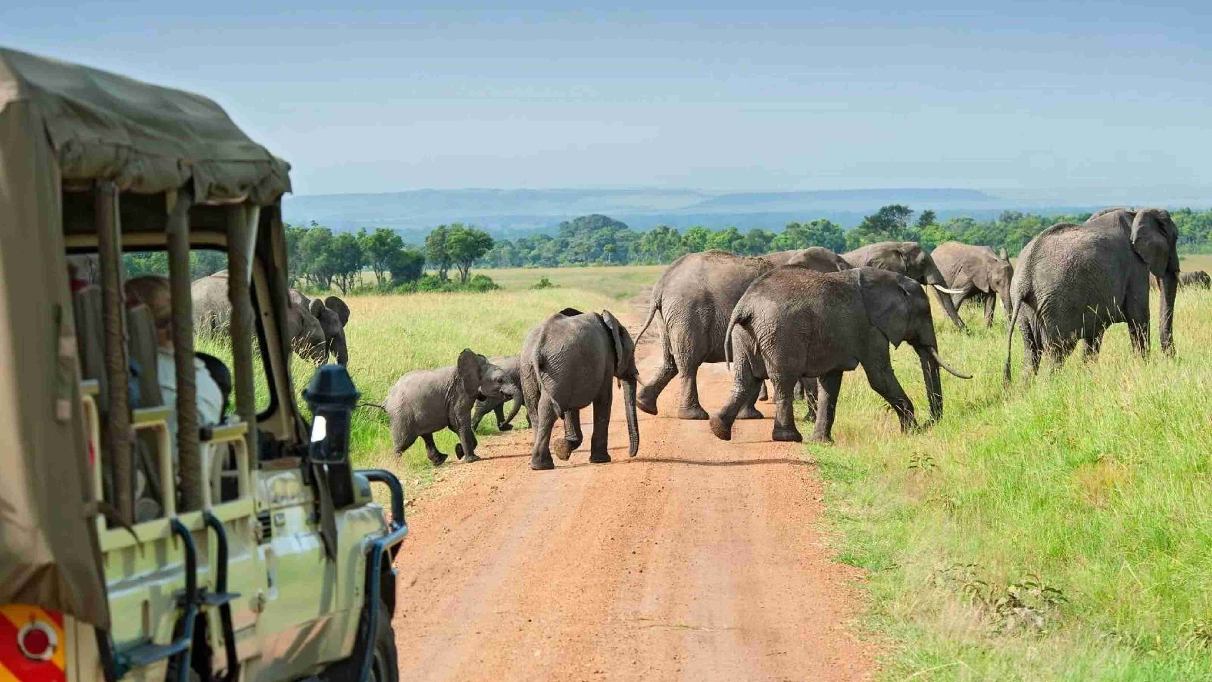 Oasis Travel Agency | Zimbabwe