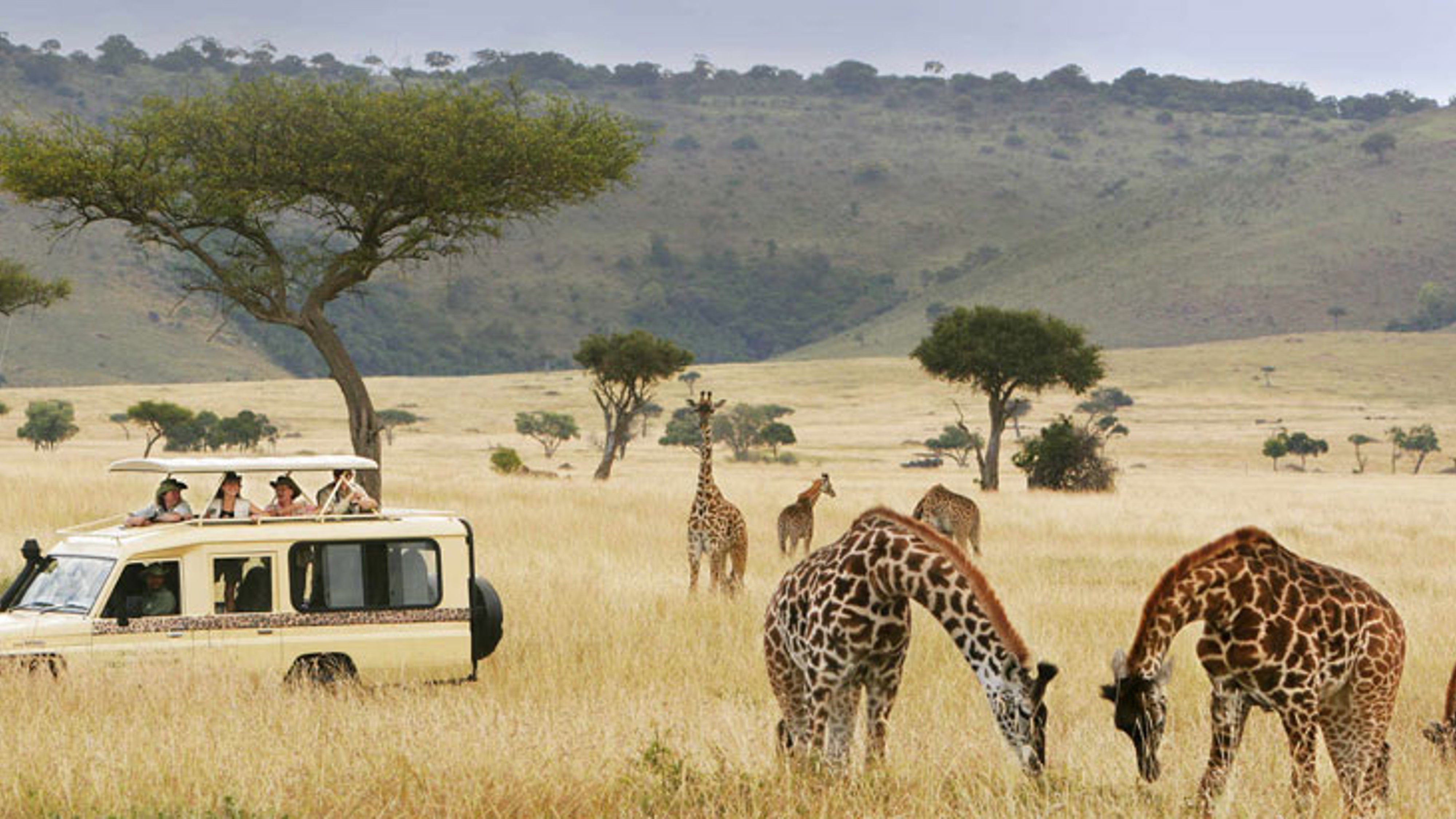 Oasis Travel Agency | Zimbabwe