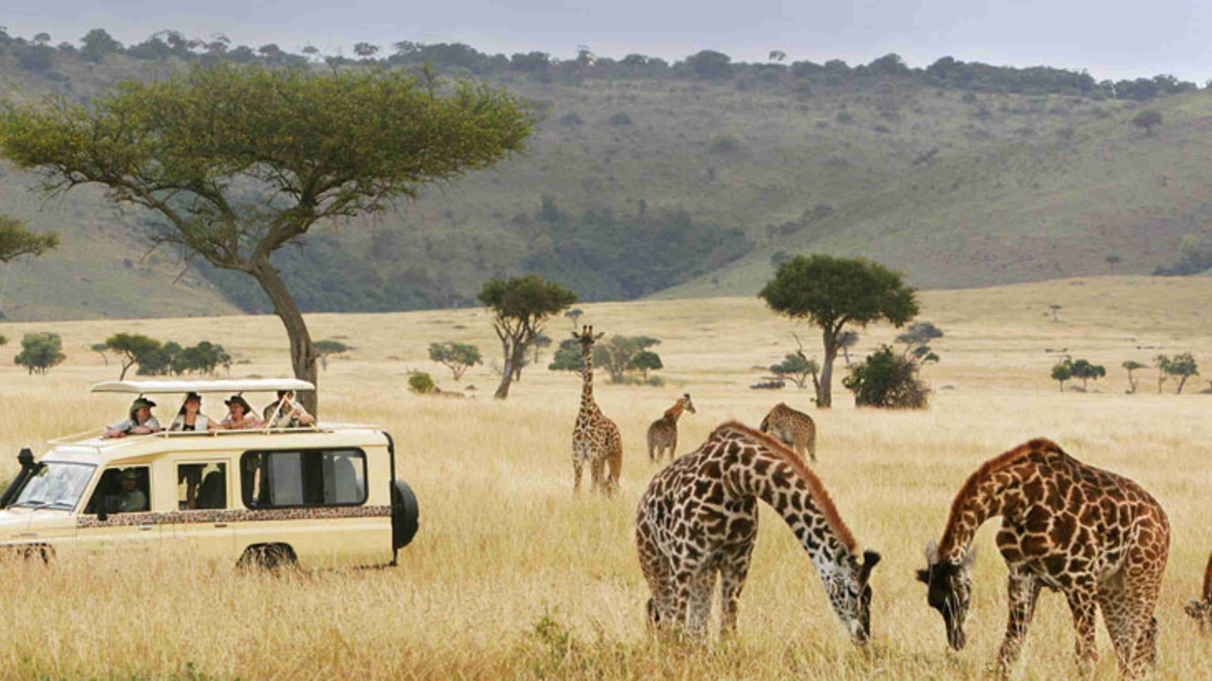 Oasis Travel Agency | Zimbabwe